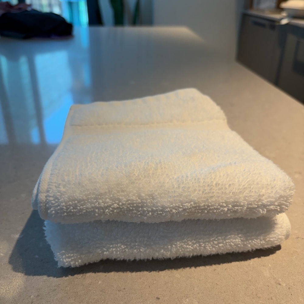 Rachel Zoe White Hand Towels (2)